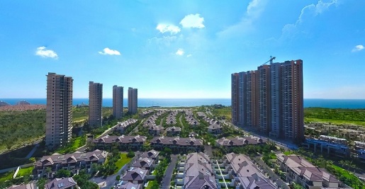 海菊时光4.jpg