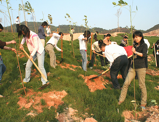 2008凯茵项目环境保护日活动
