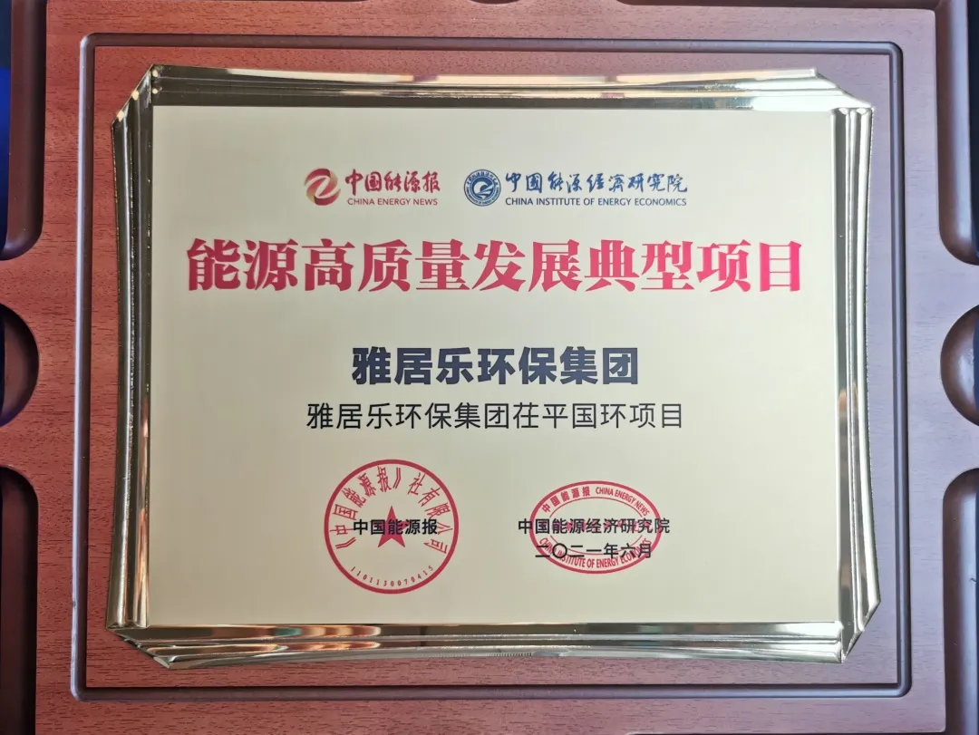 3、茌平国环能源奖.png 3、茌平国环能源奖.png
